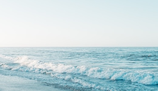 シェネル2026年現在の結婚相手は誰？どん底からマイホーム購入までの軌跡