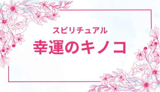 幸運のキノコのスピリチュアルの秘密とは…🍄