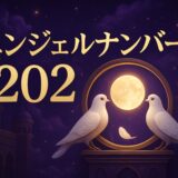 エンジェルナンバー202の意味のイメージ画像