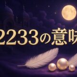エンジェルナンバー2233の意味のイメージ画像