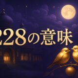 エンジェルナンバー228の意味のイメージ画像