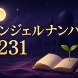 エンジェルナンバー231の意味のイメージ画像