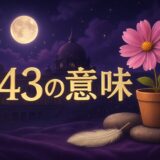 エンジェルナンバー243の意味のイメージ画像