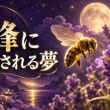 蜂に刺される夢は吉夢のイメージ画像