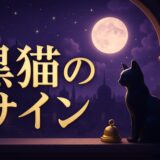黒猫のスピリチュアルな意味のイメージ画像