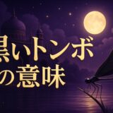 黒いトンボのスピリチュアルな意味のイメージ画像