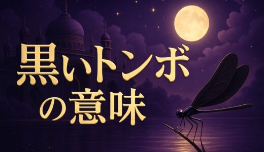 黒いトンボのスピリチュアルな意味｜神様トンボと幸運のサイン