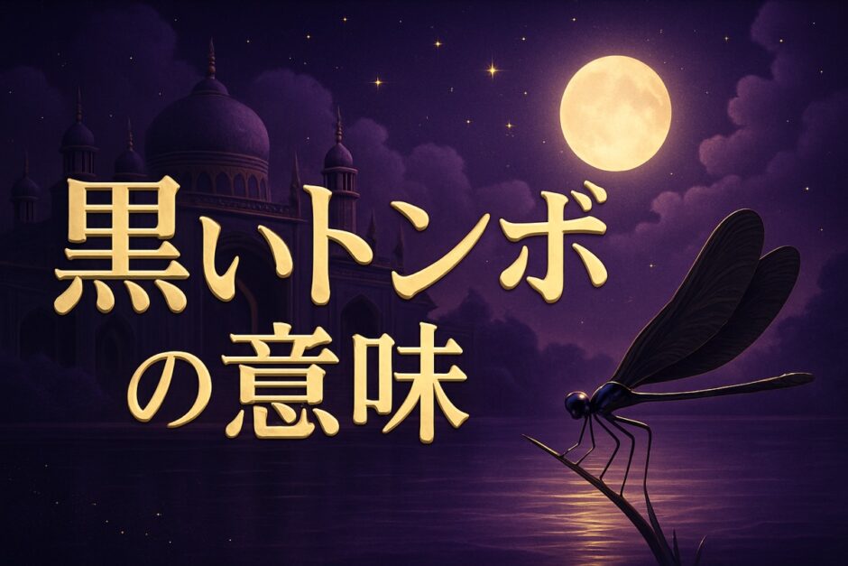 黒いトンボのスピリチュアルな意味のイメージ画像