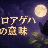 クロアゲハのスピリチュアルな意味のイメージ画像