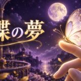 蝶の夢の意味のイメージ画像