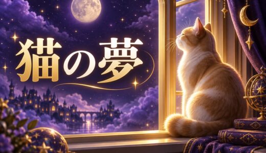 【夢占い】猫の夢の意味68選｜色・行動別に徹底解説
