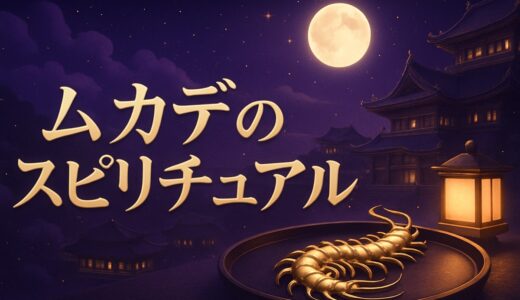 ムカデのスピリチュアルな意味｜お告げ・夜に出る・家の中