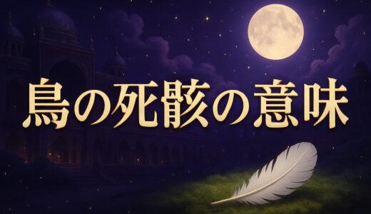 鳥の死骸のスピリチュアルな意味｜カラス・鳩・庭で見たとき