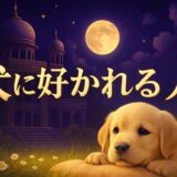 犬に好かれる人のスピリチュアルな特徴のイメージ画像
