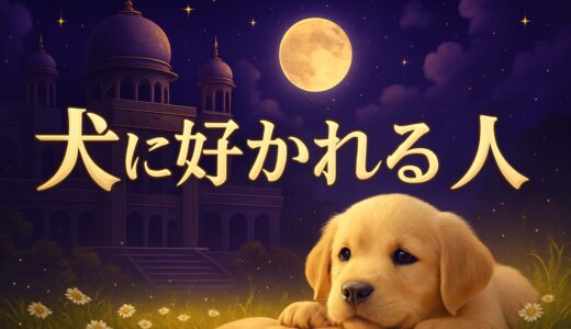 犬に好かれる人のスピリチュアルな特徴｜オーラの色と理由