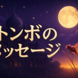トンボのスピリチュアルな意味のイメージ画像