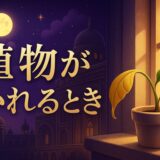観葉植物が枯れるスピリチュアルな意味のイメージ画像
