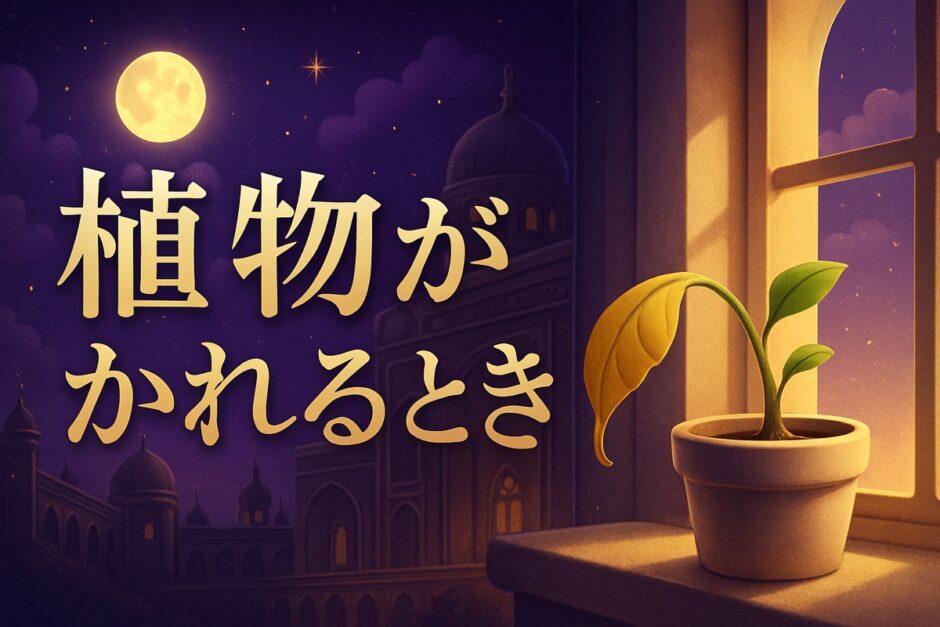観葉植物が枯れるスピリチュアルな意味のイメージ画像