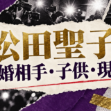松田聖子の結婚相手は歯科医の一般男性｜馴れ初め・子供・現在を確認のアイキャッチ
