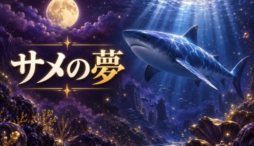【夢占い】サメの夢の意味52選｜襲われる・逃げる別に解説