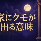 蜘蛛が多い家のスピリチュアルな意味のイメージ画像