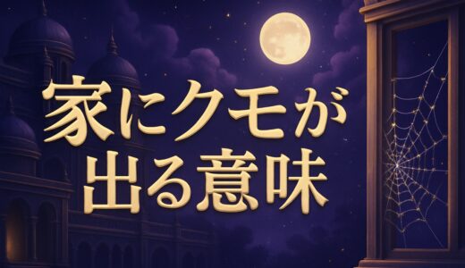 蜘蛛が多い家のスピリチュアルな意味｜家に出る・大きい・夜の蜘蛛