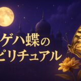 アゲハ蝶のスピリチュアルな意味のイメージ画像