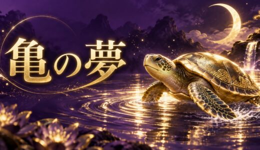 【夢占い】亀の夢の意味14選｜大きさ・行動別