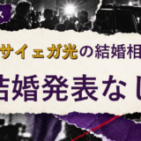 ヴァサイェガ光の結婚相手を解説する記事のアイキャッチ