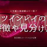 ツインレイとは何か？特徴と見分け方、出会うためのヒントを徹底解説