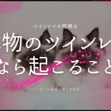 本物のツインレイなら起こることまとめ：特徴と見極め方