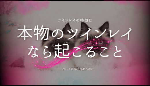 本物のツインレイなら起こることまとめ：特徴と見極め方