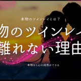 ツインレイが本物なら離れない理由とその特徴を徹底解説！