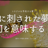 蜂に刺された夢が示すメッセージとは？状況別&部位別の意味を徹底解説