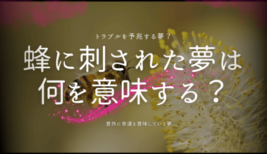 【夢占い】蜂に刺された夢が示すメッセージとは？状況別&部位別の意味を徹底解説