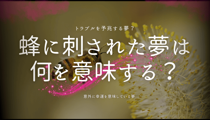 蜂に刺された夢が示すメッセージとは？状況別&部位別の意味を徹底解説