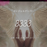 3333