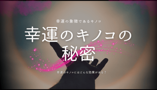 幸運のキノコのスピリチュアルの秘密とは…🍄