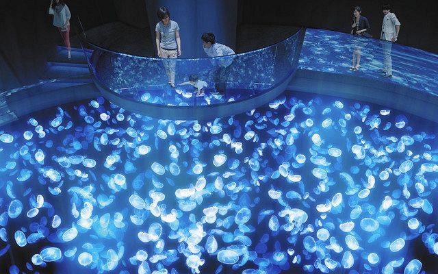 すみだ水族館