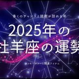 2025年の運勢を高めるための行動 (1)